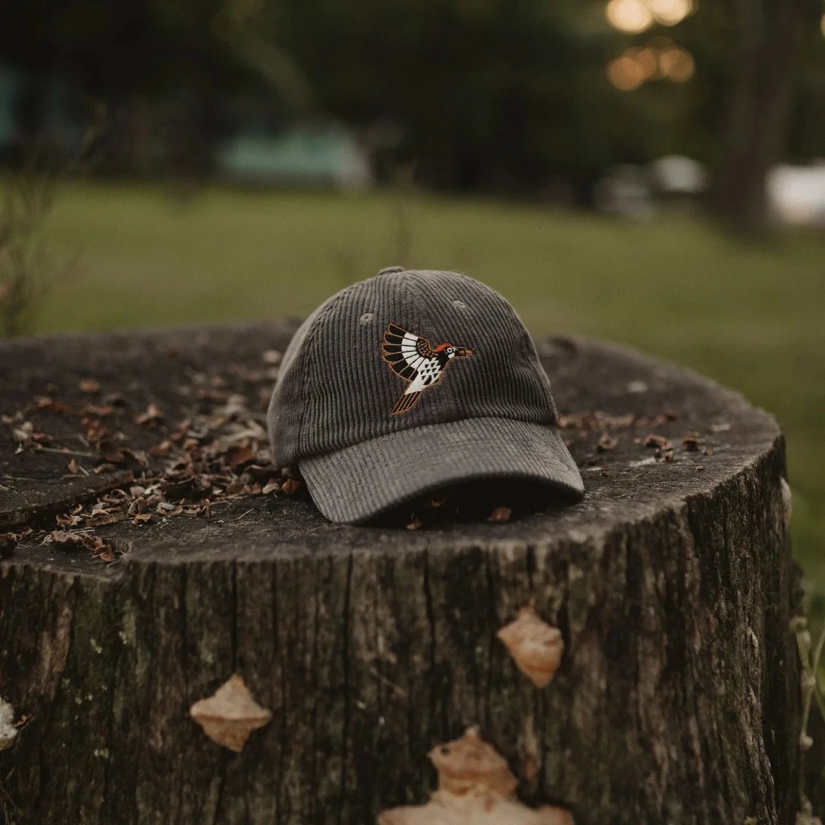 Bird Collective - Acorn Woodpecker Corduroy Hat - Pepper - 