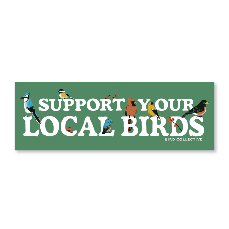 Bird Collective - Backyard Birds Bumper Sticker - -