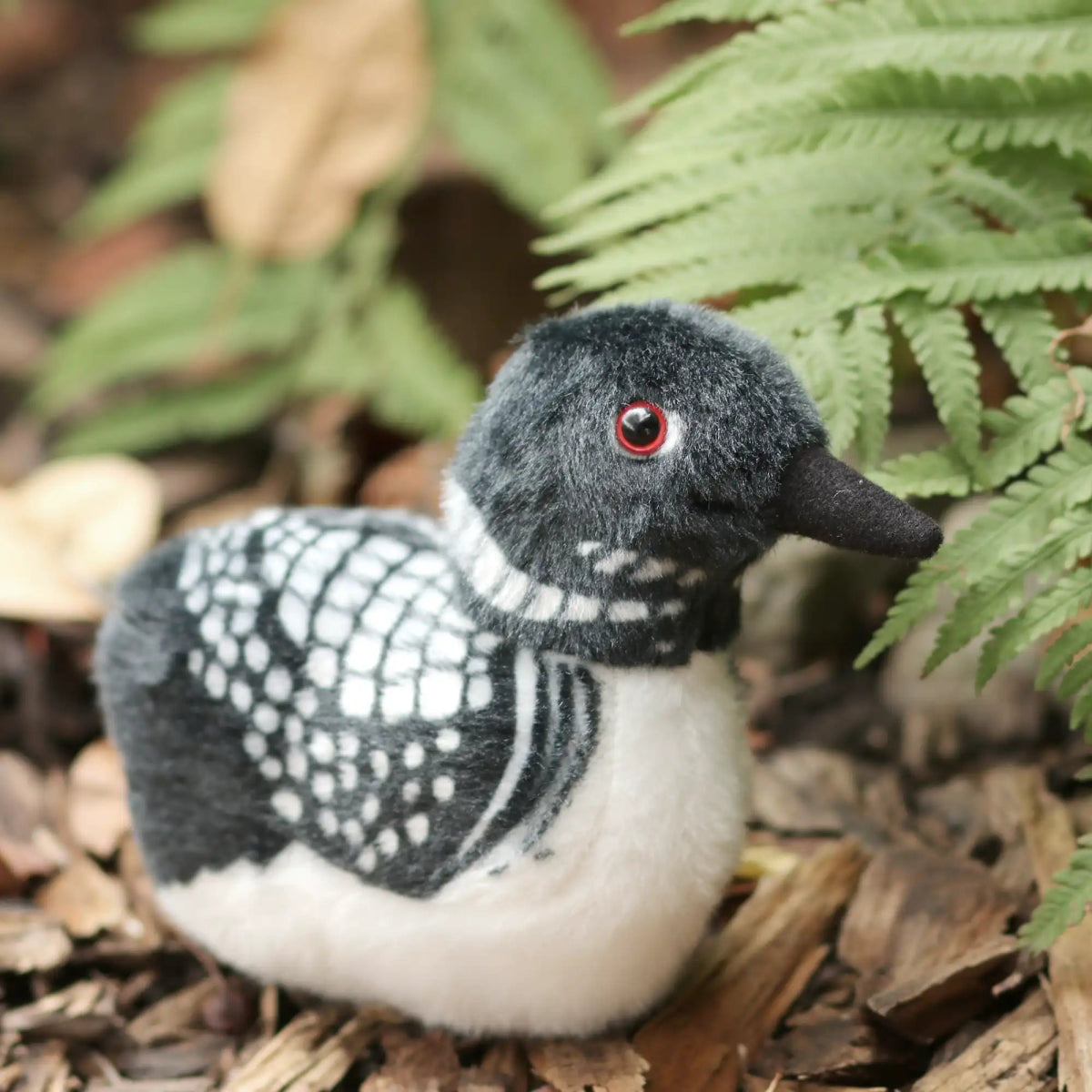 Bird Collective - Common Loon Stuffed Animal - 