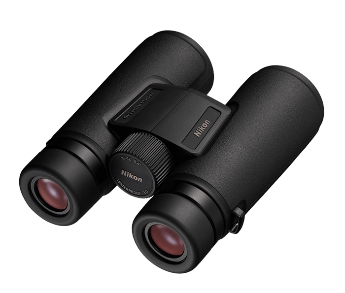 Bird Collective - Nikon Monarch M5 8x42 Binoculars - 