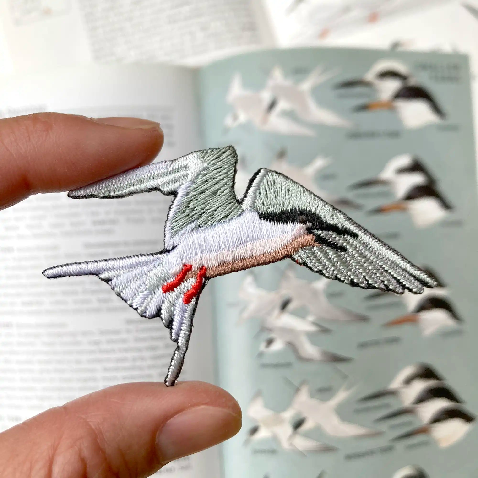 Bird Collective - Roseate Tern Patch - -