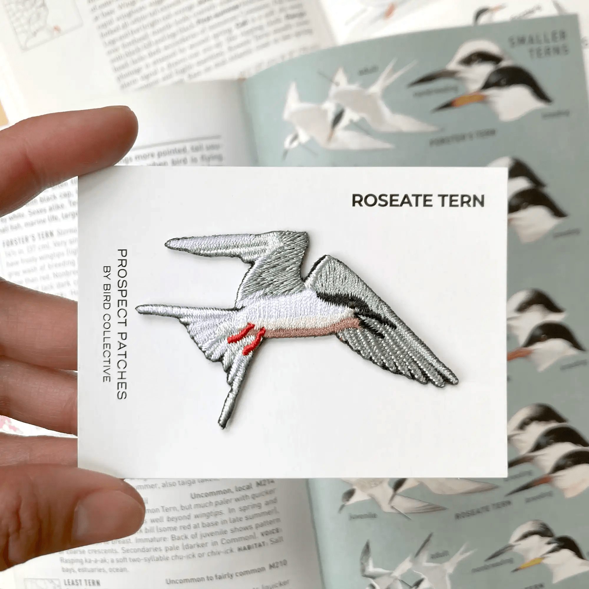 Bird Collective - Roseate Tern Patch - -