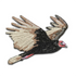 Turkey Vulture Patch