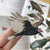 Bird Collective - Turkey Vulture Patch - 