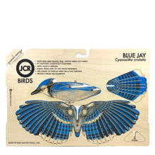 Buy Blue Jay Dancing Bird (Store Pickup Only) Online With Canadian