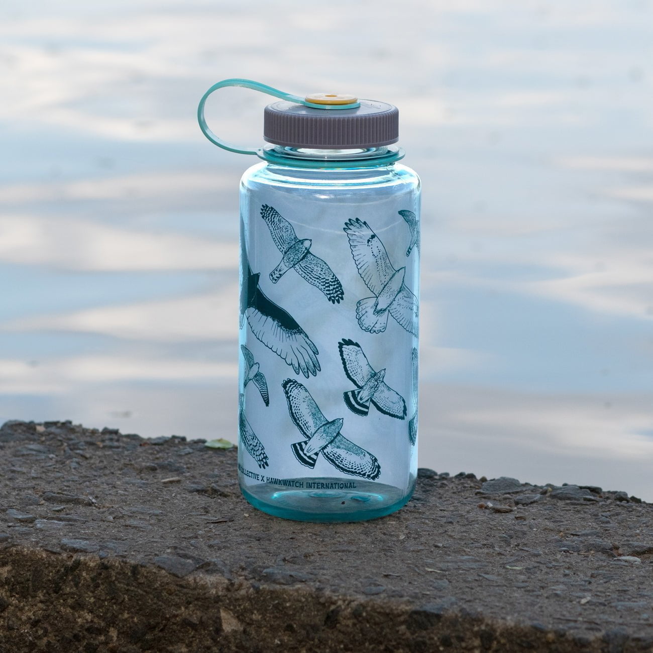 Bird Collective - Hawks in Flight Nalgene Water Bottle | Seafoam - -