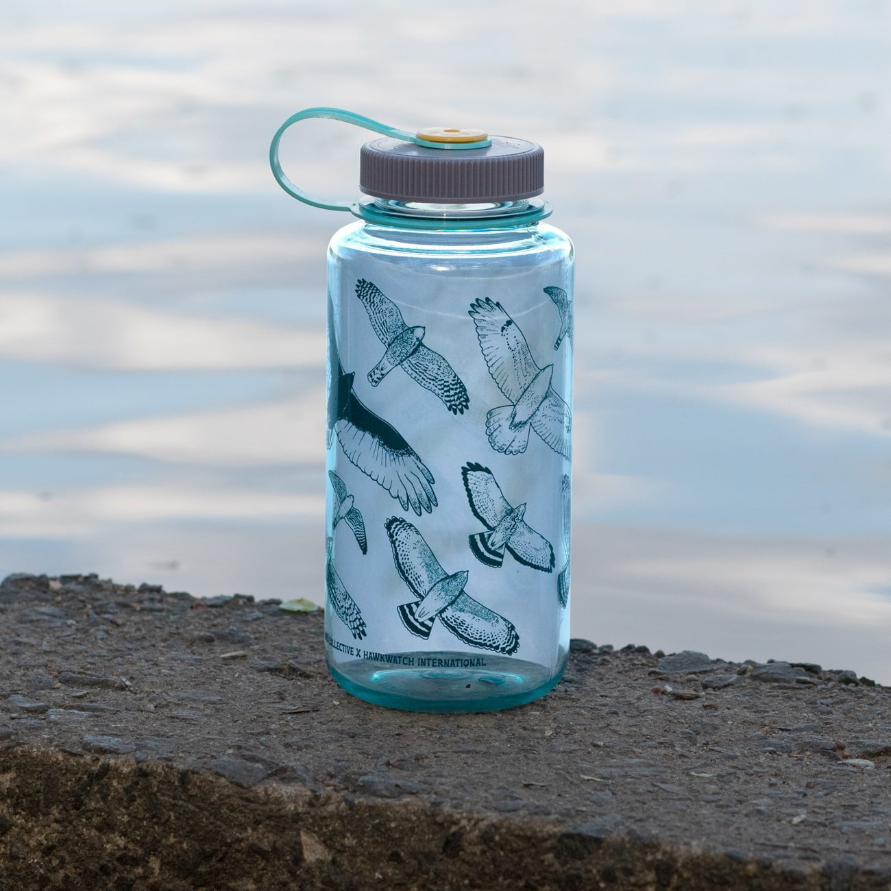 Hawks in Flight Nalgene Water Bottle | Seafoam – Bird Collective