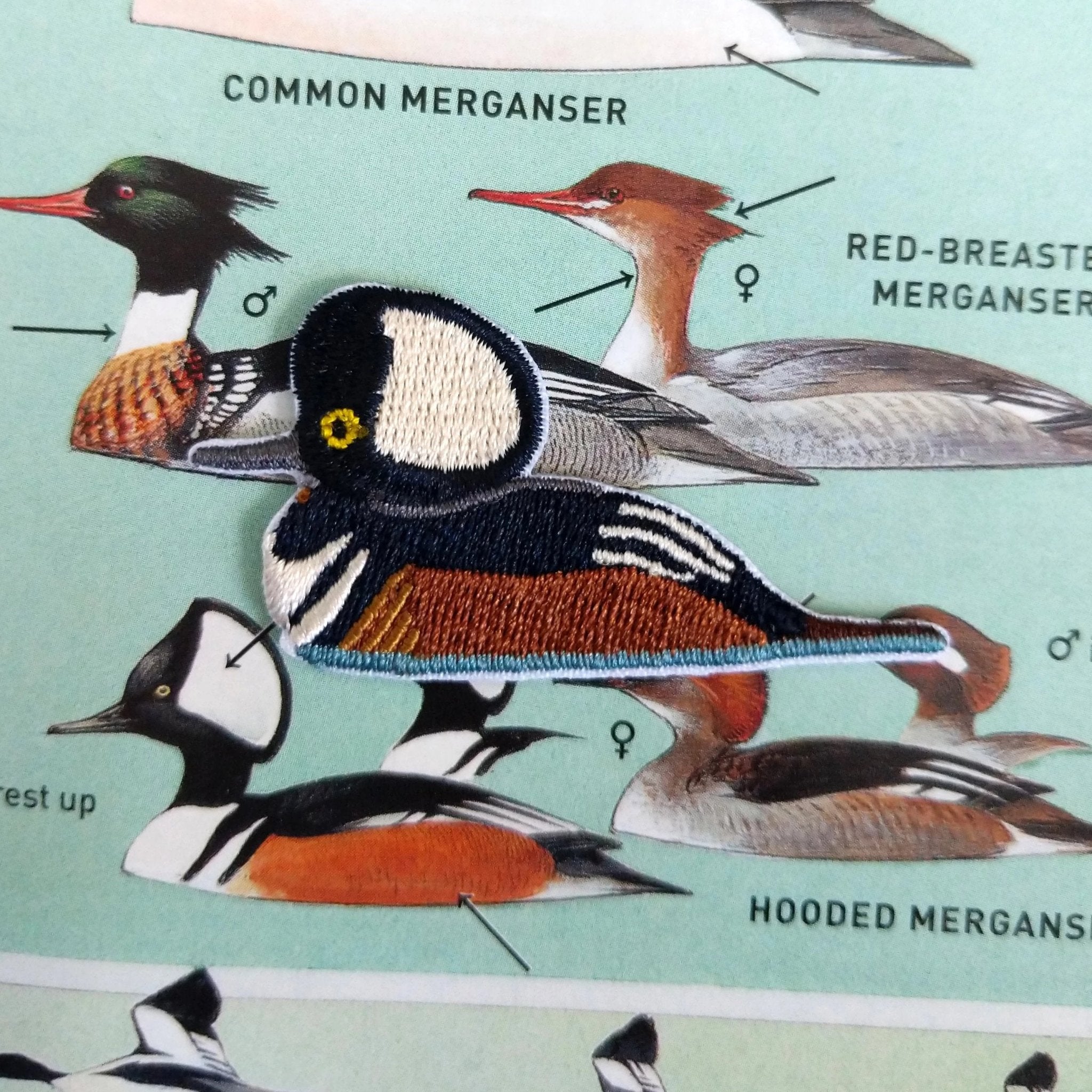 Bird Collective - Hooded Merganser Patch - -